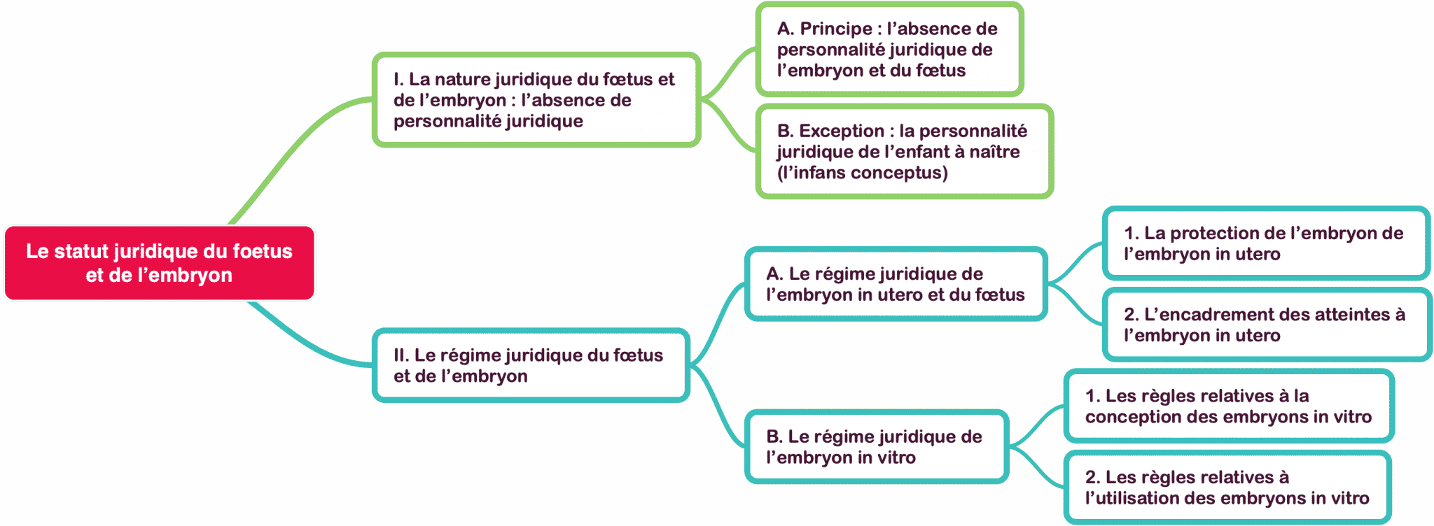 Le statut juridique du foetus et de lembryon Carte mentale MindMap