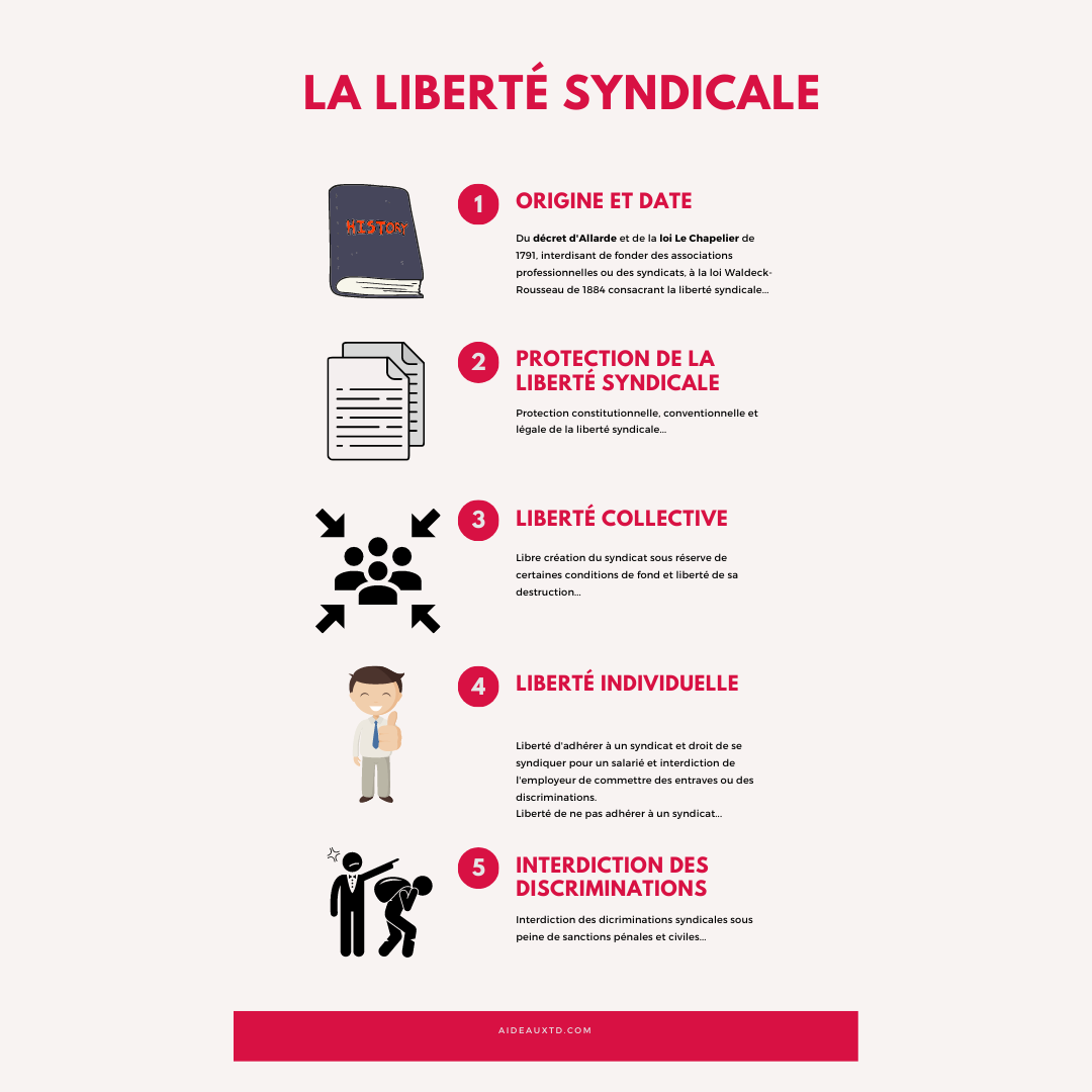 Article la liberté syndicale