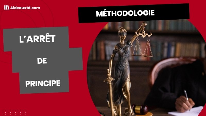 Arrêt de principe : définition, exemples