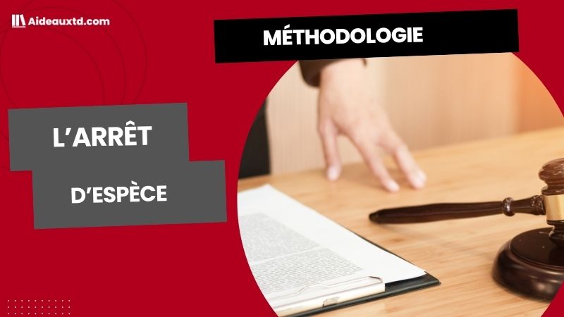Arrêt d&rsquo;espèce : définition, exemple