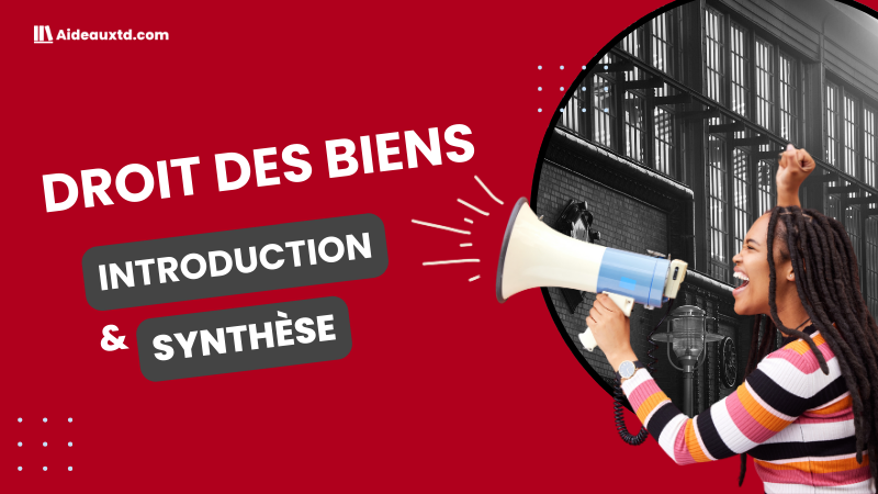 Cours de Droit des biens (introduction et synthèse)